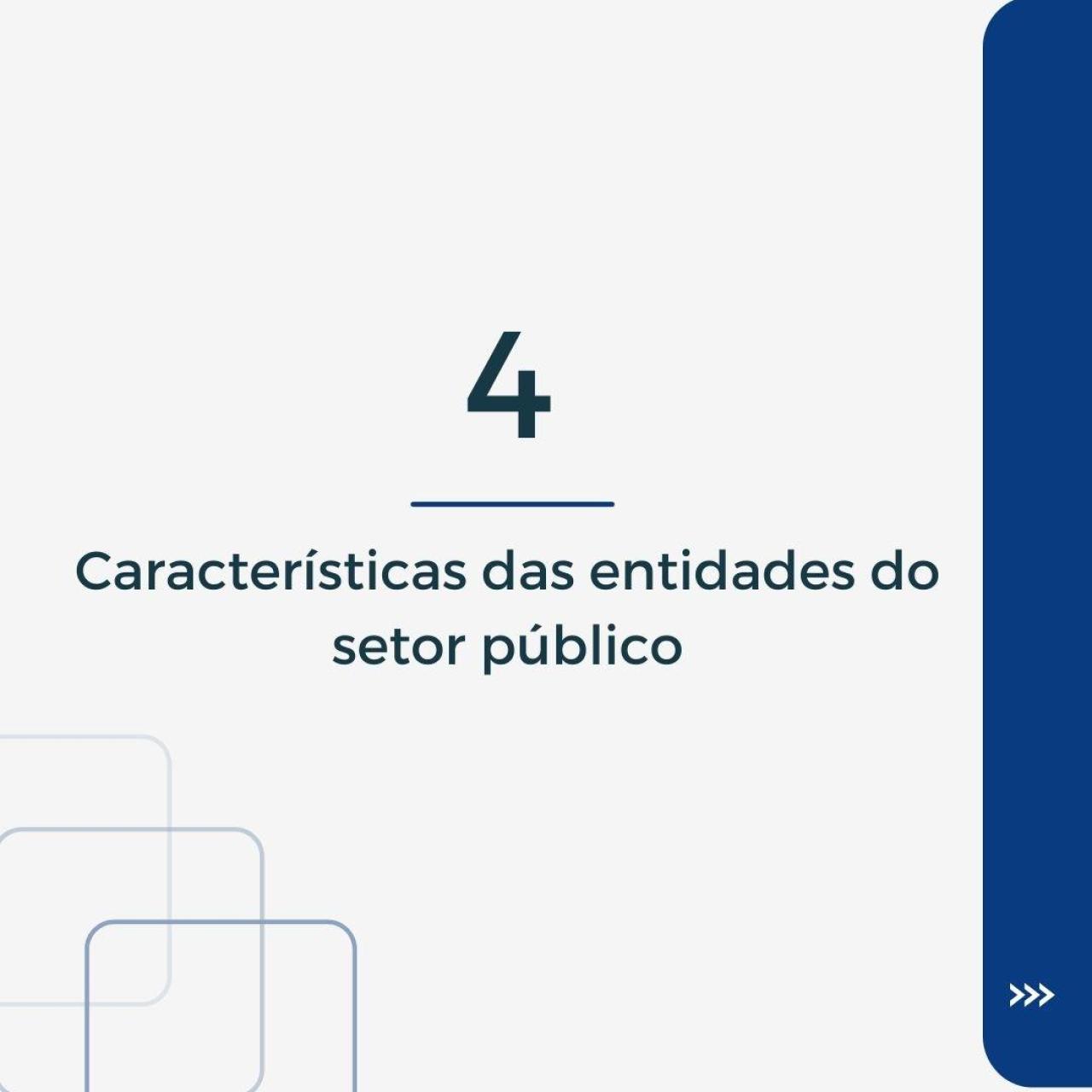 CARACTERÍSTICAS DAS ENTIDADES DO SETOR PÚBLICO