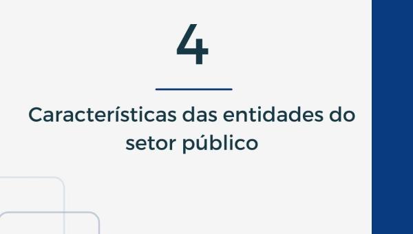 CARACTERÍSTICAS DAS ENTIDADES DO SETOR PÚBLICO