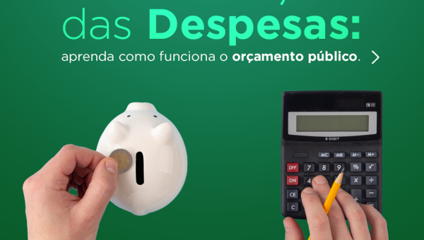 Classificação das Despesas: aprenda como funciona o orçamento público.