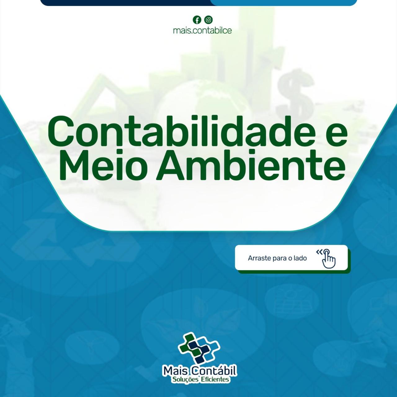 CONTABILIDADE E MEIO AMBIENTE