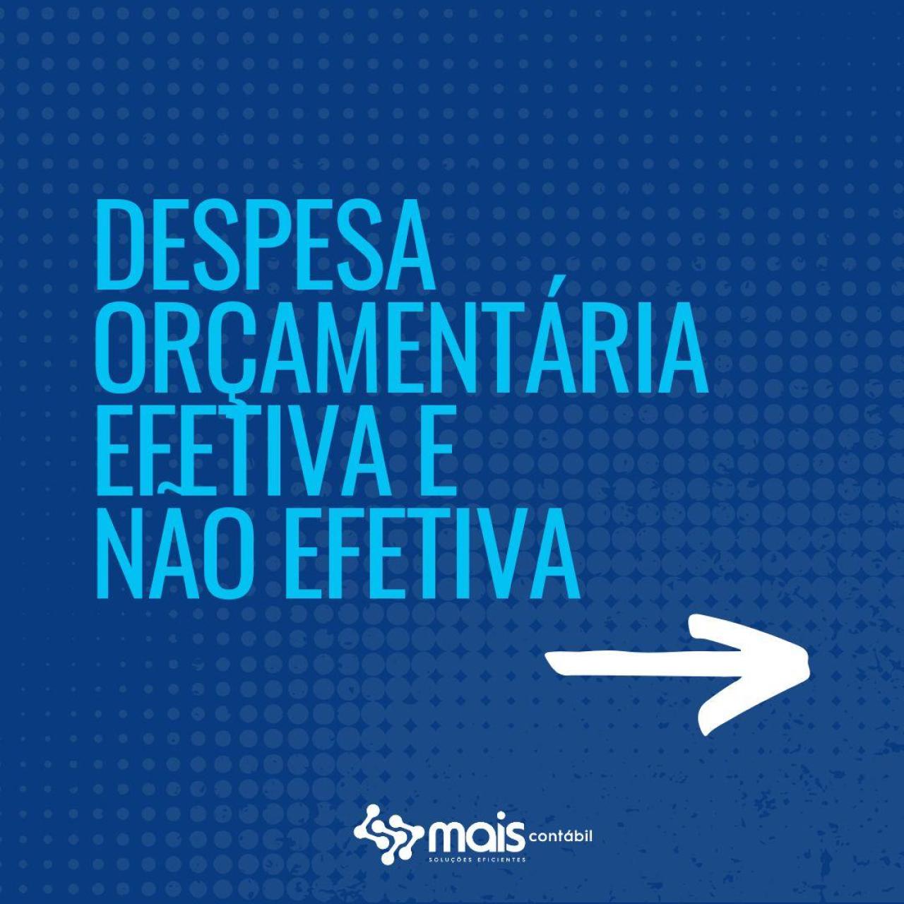 DESPESA ORÇAMENTÁRIA 