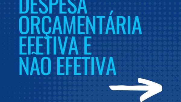 DESPESA ORÇAMENTÁRIA 