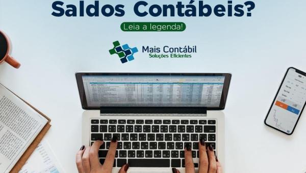 O que é Matriz de Saldos Contábeis?