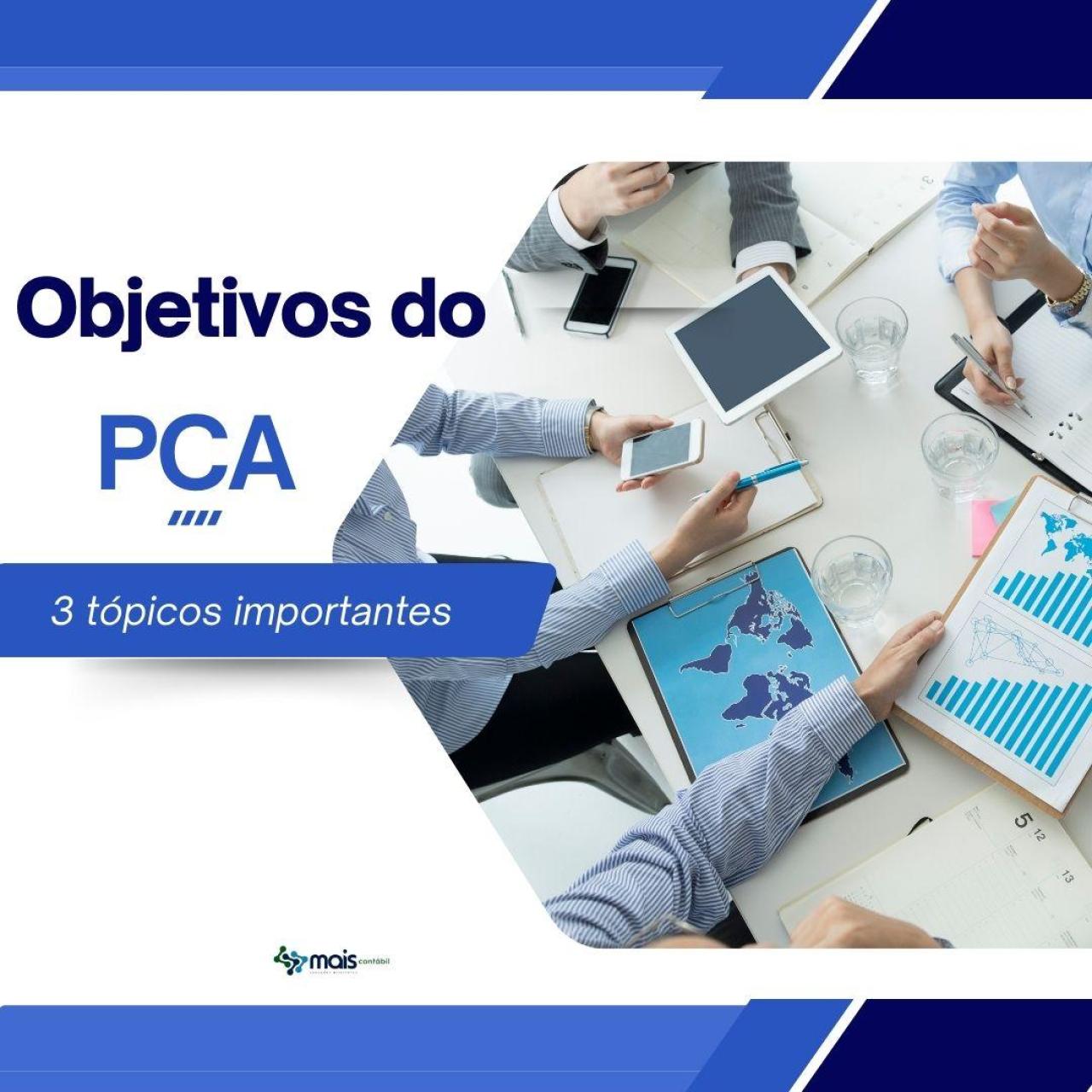 OBJETIVOS DO PCA