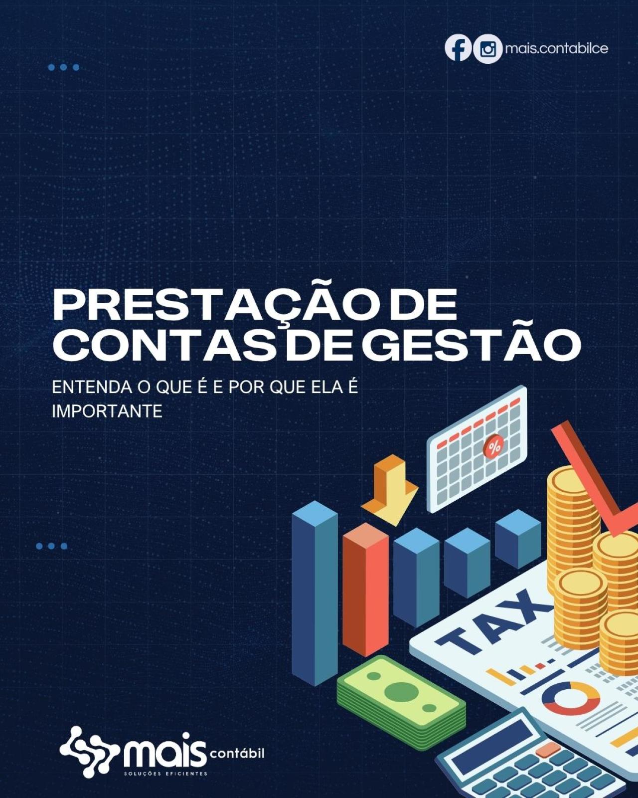 PRESTAÇÃO DE CONTAS DE GESTÃO